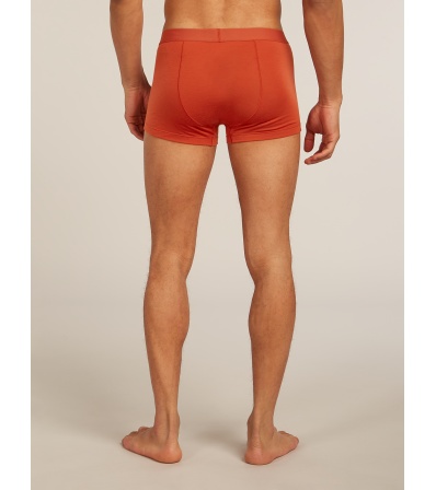 Бельо Icebreaker Merino Blend 125 Cool-Lite Anatomica Trunks