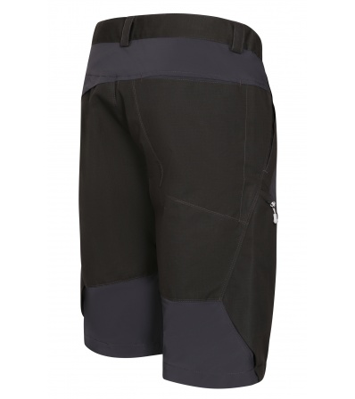 Direct Alpine Fremont Shorts 1.0 M's